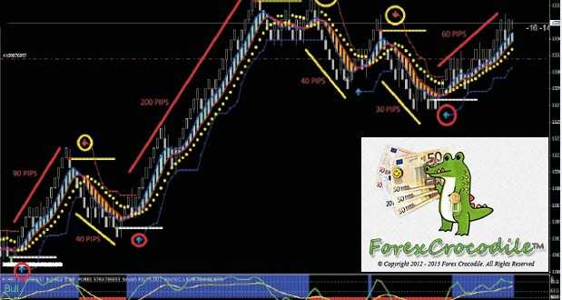 Forex-Crocodile-619x330.jpg