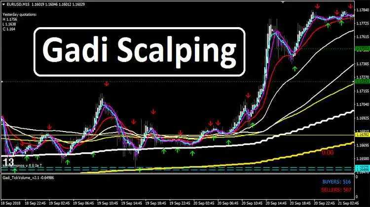 Gadi-Scalping-Overview.jpg