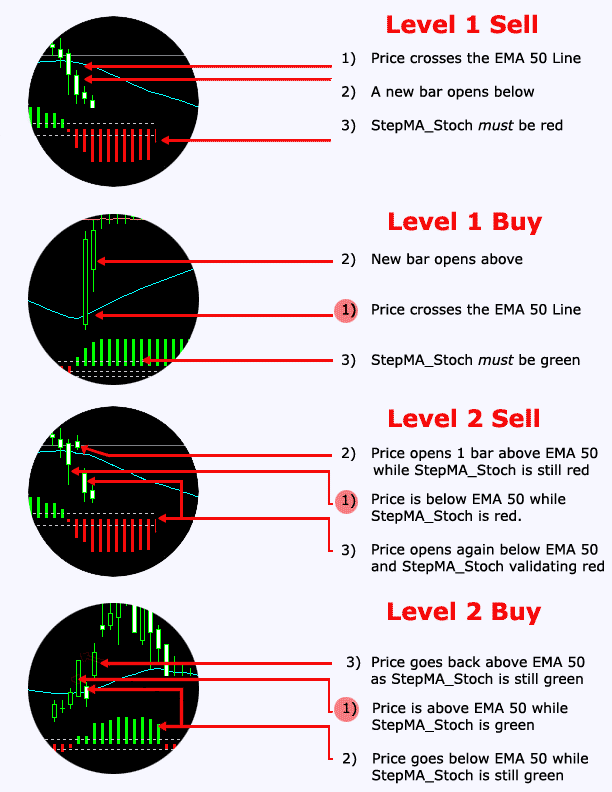 Nina CatFX50 All Signals.gif